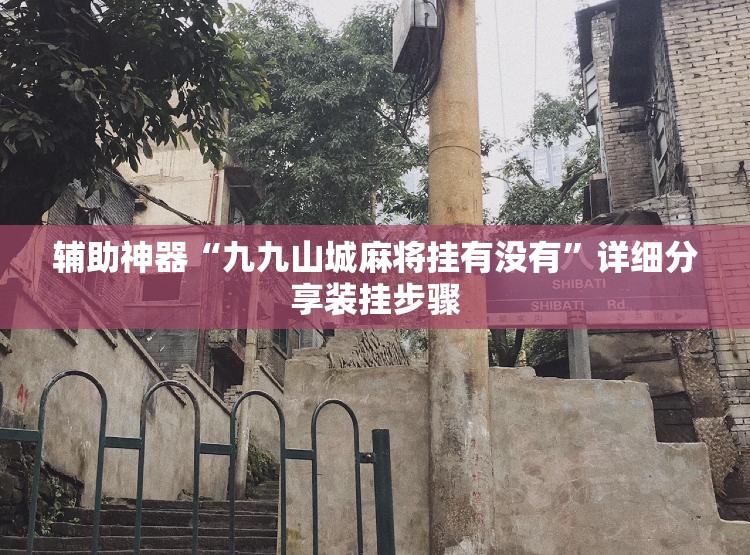 辅助神器“九九山城麻将挂有没有”详细分享装挂步骤