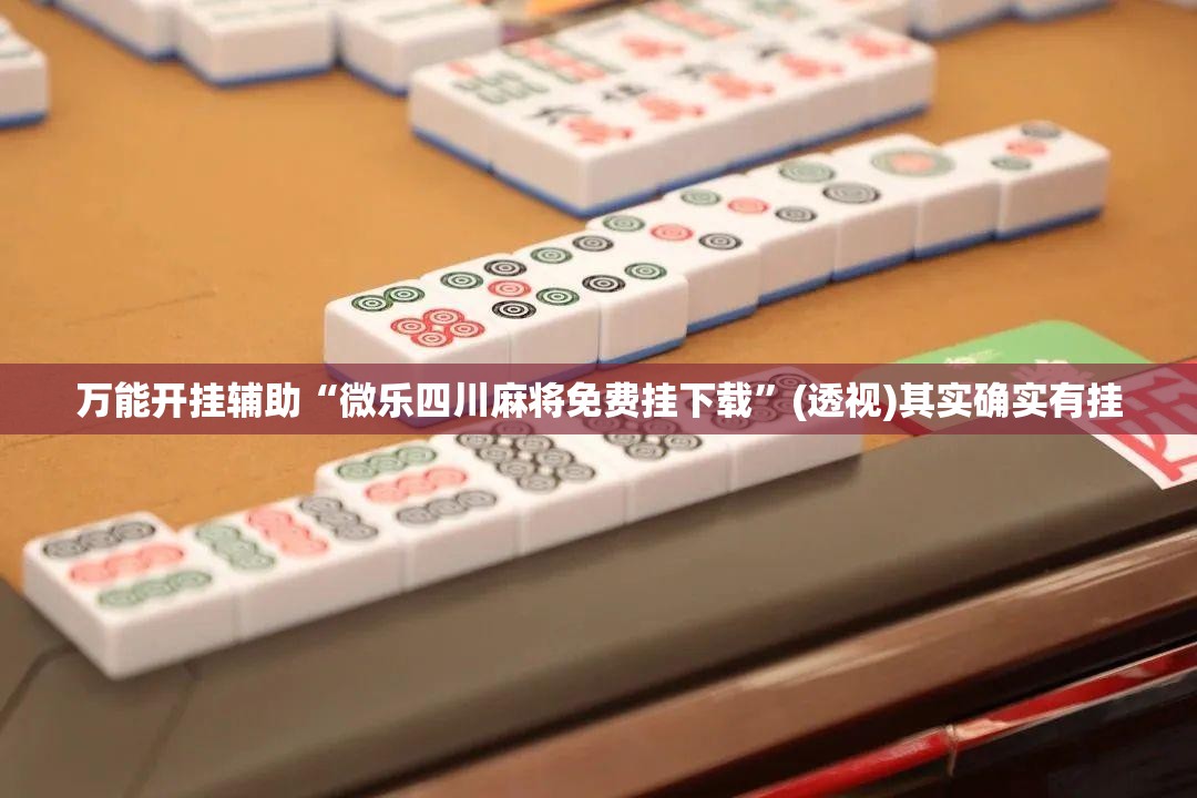 万能开挂辅助“微乐四川麻将免费挂下载”(透视)其实确实有挂