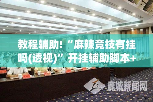 教程辅助!“麻辣竞技有挂吗(透视)	”开挂辅助脚本+详细开挂安装教程