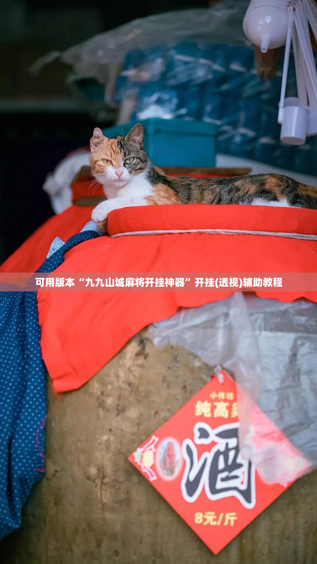 可用版本“九九山城麻将开挂神器”开挂(透视)辅助教程