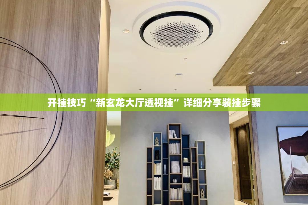开挂技巧“新玄龙大厅透视挂”详细分享装挂步骤
