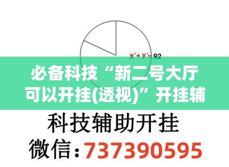 必备科技“新二号大厅可以开挂(透视)”开挂辅助脚本+详细开挂安装教程