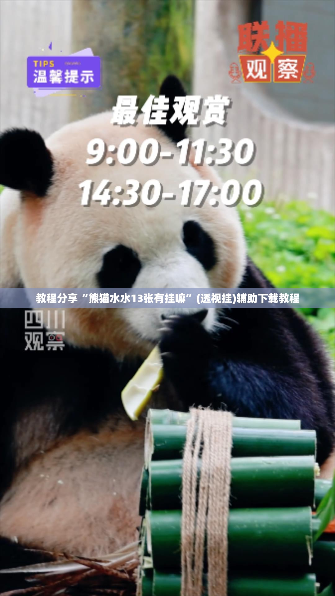 教程分享“熊猫水水13张有挂嘛	”(透视挂)辅助下载教程