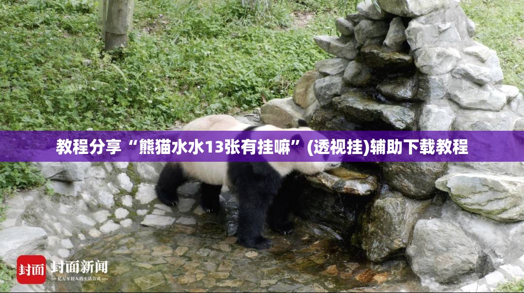 教程分享“熊猫水水13张有挂嘛”(透视挂)辅助下载教程