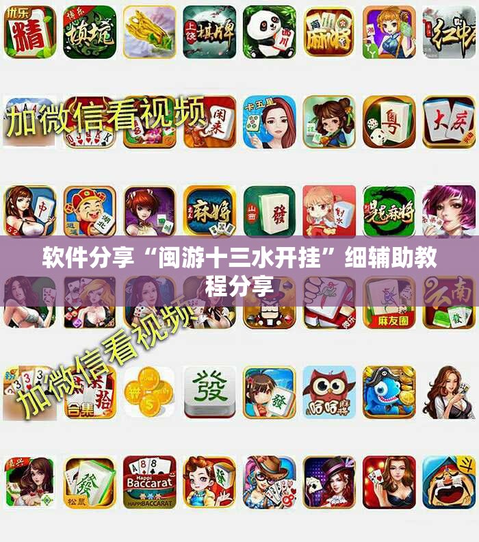 软件分享“闽游十三水开挂	”细辅助教程分享
