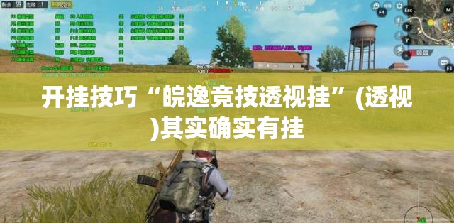 开挂技巧“皖逸竞技透视挂”(透视)其实确实有挂