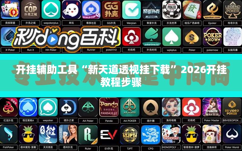 开挂辅助工具“新天道透视挂下载”2026开挂教程步骤