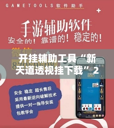 开挂辅助工具“新天道透视挂下载”2026开挂教程步骤