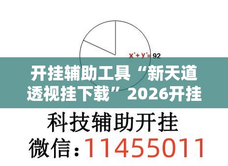 开挂辅助工具“新天道透视挂下载	”2026开挂教程步骤