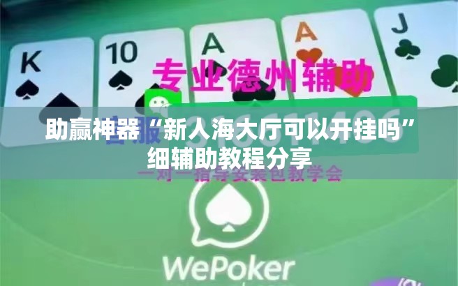 助赢神器“新人海大厅可以开挂吗	”细辅助教程分享